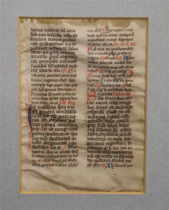 A 14th century Breviary single leaf manuscript, Use of Cologne, on vellum, 31 lines of text in two columns in